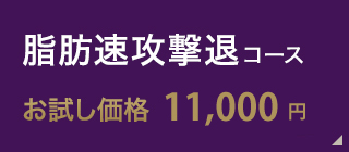 脂肪速攻撃退コースお試し価格4,400円