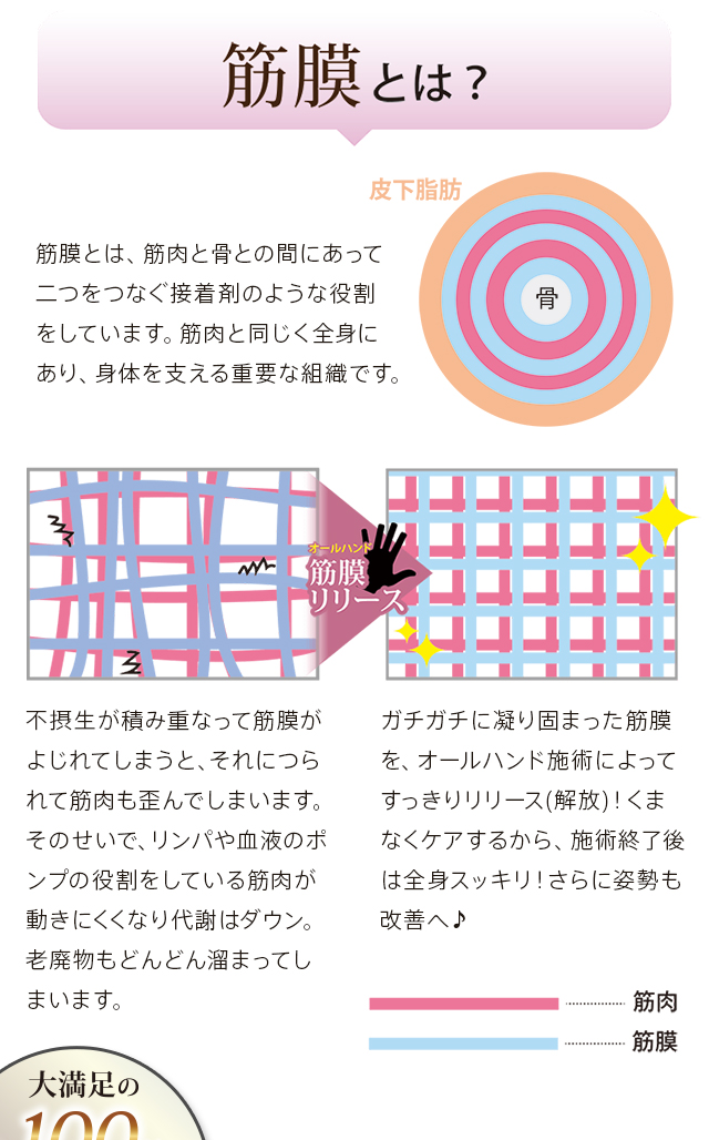 筋膜とは、筋肉と骨との間にあって二つをつなぐ接着剤のような役割をしています。筋肉と同じく全身にあり、身体を支える重要な組織です。
